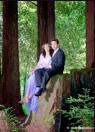 Wedding Photography, San Jose Center for Spiritual Enlightenment - Bride Waits in Limo