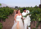 Wedding Photograph, Morgan Hill Guglielmo Winery - Walk through vineyard